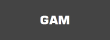 GAM